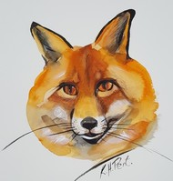 'Fox' Limited Edition Signed Card